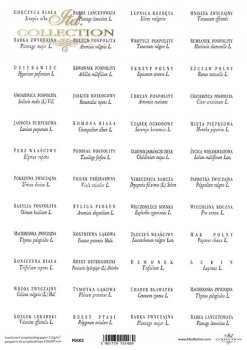 papier półprzezroczysty do scrapbooking (HS code 48063000) P0102