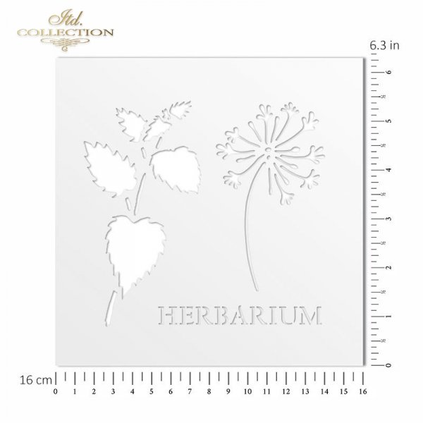 liście, zioła, napis HERBARIUM